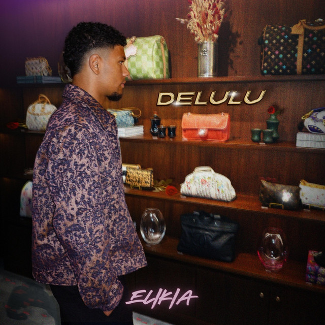 Cover art voor Delulu van Elikia